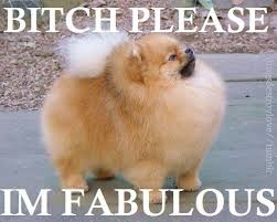cute dog sayings quotes | images of quotes and sayings pictures ... via Relatably.com