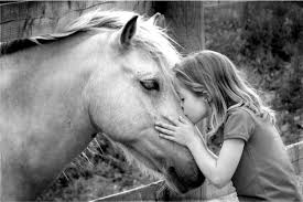 Résultat de recherche d'images pour "chevaux noir et blanc"