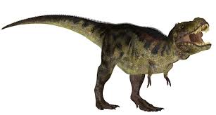 Image result for dinosaurs