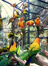 Hasil gambar untuk BIRD PARK BALI