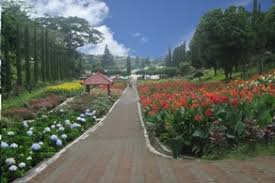 Hasil gambar untuk selecta