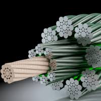 Gustav Wolf Elevator Ropes- PAWO F7s By Suzhou Flexi ...