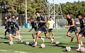 Fenerbahçe Spor Kulübü - News update
