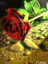 Image result for animated butterflies wallpaper