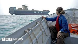 Strait of Hormuz: BBC sees seized ships and stranded tankers on visit to Iran