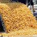 40000 rubber ducks flood Brisbane River to raise funds for cancer ...