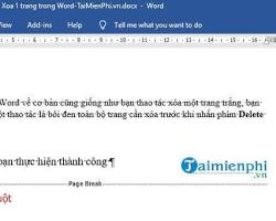 Image of Đặt con trỏ chuột trước dấu phân trang và nhấn Delete trong Word