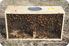 Image result for package of bees