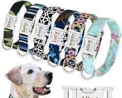 fabric dog collar with a name tagの画像