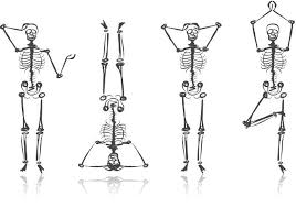 Resultado de imagen para cuerpo humano