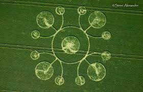 New circle at White Sheet Hill, Wilts. - Temporary Temples