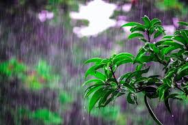Lluvias en Veracruz, ¿Qué nos espera para las próximas horas?