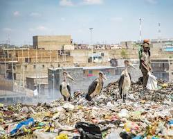 Image of Dandora Landfill, Kenya