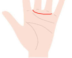 人差し指と中指の間に弧を描く線（金星帯）の画像
