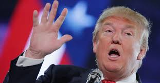 Image result for Donald Trump