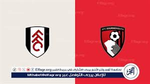 بوابة الفجر - News update