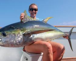 Freshly Caught Tunaの画像