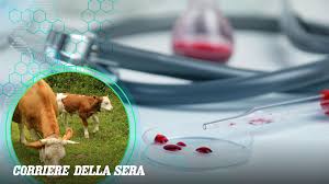 Trend Google: malattia della pioggia sintomi