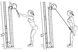 Resultado de imagem para pulldown exercise