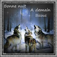 Résultat de recherche d'images pour "bonne nuit"