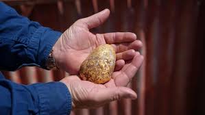 australia outback gold nugget find