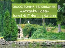 Результат пошуку зображень за запитом "Асканія нова"