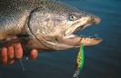 How to Catch Salmon in Freshwater Washington Department of