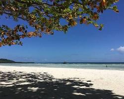 Quinale Beach, Bohol Island的圖片