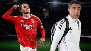 MSN - News update