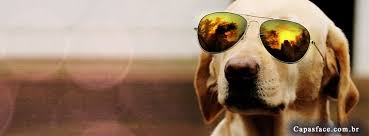 Resultado de imagem para imagens para capa do facebook feminino