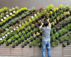 Image of Vertical garden