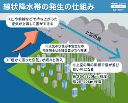 Yahoo!ニュース - News update
