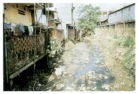 Image result for indonesia water pollution