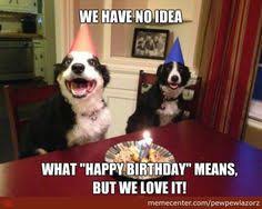 Image result for funny birthday