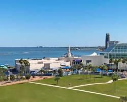 Image of Texas State Aquarium Corpus Christi