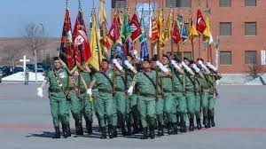 Trend Google: militare