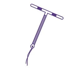 Image result for IUD image