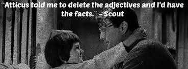 Image result for scout finch quotes