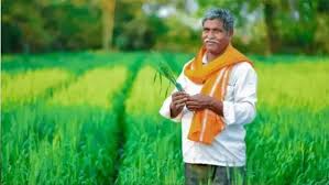 PM Kisan 20th Installment Date: जल्दी निपटा लें ये 3 काम, वरना बैंक अकाउंट में नहीं आएगी पीएम किसान योजना की 20वीं किस्त
