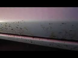 tar and pitch remover ile ilgili görsel sonucu