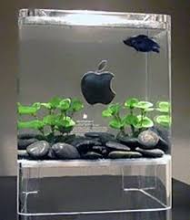 Résultat de recherche d'images pour "mac aquarium"