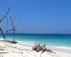 Image of Kalapathar Beach, Havelock Island