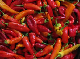 Tips Nyeplus Cabe