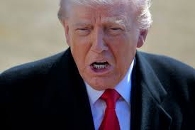 JD Vance Downplays Trump's Video Depicting Obamas as Apes