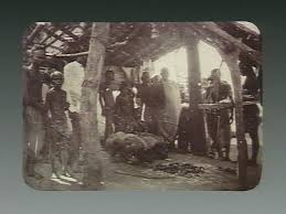 Image result for BOMBAY PLAGUE PHOTOS