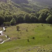 Parco Nazionale del Pollino