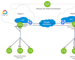 Image of VMware SDWAN