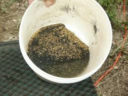 Image result for photos placer mining