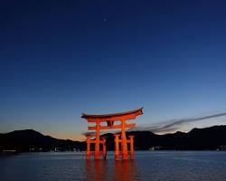 宮島水中鳥居の夜景の画像