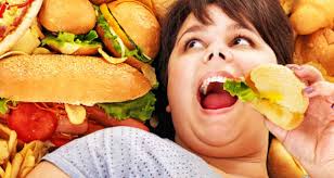 Image result for indian junk food images